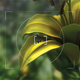 Image for article titled What DirectX 11 Is, and What It Means To You